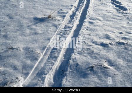 Les pistes de ski dans la neige Banque D'Images