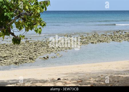 Une zone côtière peu profonde pendant la marée basse, avec des roches exposées et / ou des formations coralliennes le long de Swallows Bay ou Beach, Crown point, Tobago. Banque D'Images