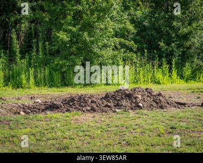 Un grand tas de terre brune creusée et de terre arable sur une pelouse d'herbe verte avec des arbres luxuriants en arrière-plan Banque D'Images
