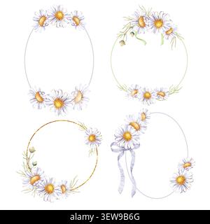 Ensemble d'illustration d'aquarelle avec quatre cadres floraux délicats et des couronnes faites de fleurs blanches Marguerites et d'herbes sauvages. Élégant rond, ovale et doré Banque D'Images