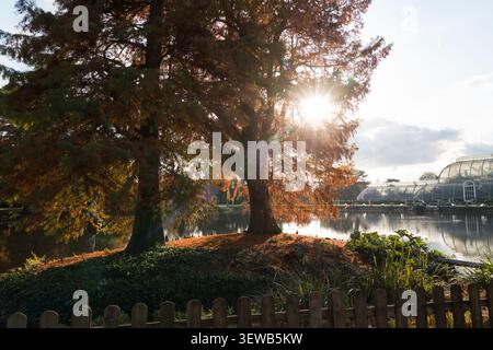 La lumière dorée du soleil d'automne illumine le lac et les arbres du Royal Botanic Gardens, Kew, Londres, avec l'emblématique Palm House en vue. Banque D'Images