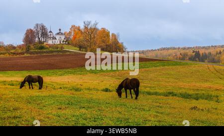 Chevaux qui paissent dans un paysage d'automne près d'un bâtiment historique dans un cadre rural. Banque D'Images