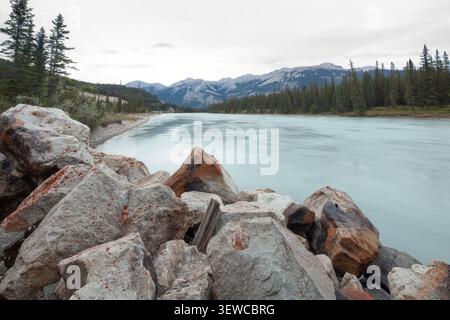 Le limon glaciaire transforme la rivière Athabasca en turquoise époustouflante lorsqu'elle traverse le parc national Jasper dans les Rocheuses de l'Alberta. Banque D'Images