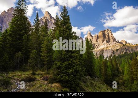 De grands arbres remplissent la vallée tandis que les montagnes rocheuses se dressent en arrière-plan. Les nuages dérivent à travers le ciel bleu tandis que la lumière du soleil brille sur le paysage. Ceci s Banque D'Images