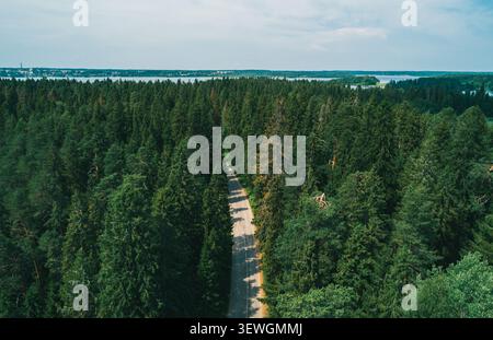 Vue aérienne d'une route forestière tranquille entourée d'arbres verdoyants et d'un lac lointain sous un ciel clair Banque D'Images