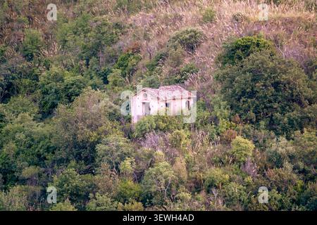 Petite maison en pierre abandonnée cachée dans une végétation verdoyante sur une colline Banque D'Images