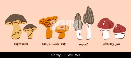 Ensemble coloré de champignons sauvages comestibles d'automne dans une rangée avec des légendes écrites à la main, chapeau de lait safran, morille, champignon beurre, capercaillies, recherche de nourriture, w Illustration de Vecteur