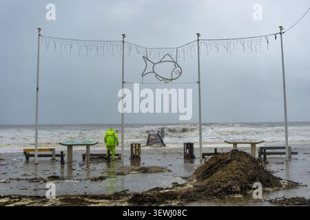 Nettoyage après tempête, côte. Photo de haute qualité Banque D'Images