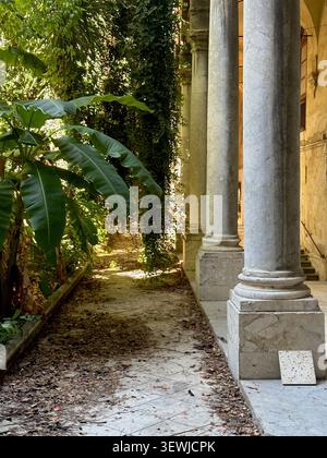 Cour paisible de l'Oratorio della Carità di San Pietro à Palerme, avec une architecture historique élégante et un jardin luxuriant et sauvage avec Mediter Banque D'Images