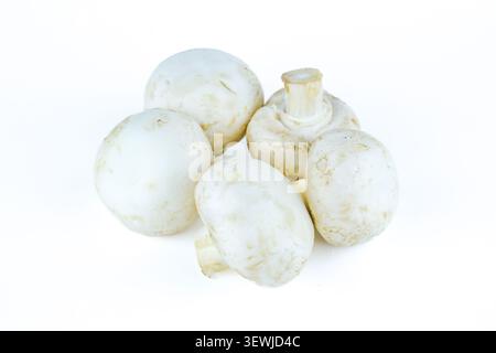 Champignons bouton blanc pile isolé sur fond blanc Banque D'Images