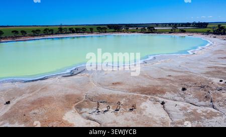 Vue aérienne d'un lac salé turquoise vibrant entouré de terre sèche et fissurée et d'une végétation clairsemée sous un ciel bleu clair à Kondinin, en Australie occidentale Banque D'Images
