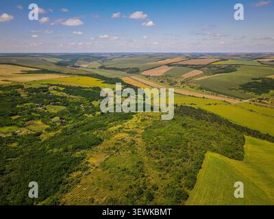 Un plan large aérien capture une mosaïque de champs agricoles et de forêts verdoyantes sous un ciel bleu avec des nuages éparpillés dans la campagne ukrainienne. Th Banque D'Images