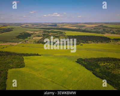 Une vue aérienne grand angle capture les champs agricoles et les zones boisées en Ukraine. Le paysage présente une mosaïque de champs verts et jaunes, inte Banque D'Images
