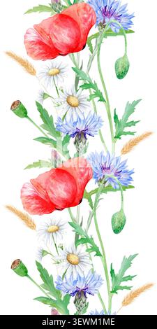Aquarelle bordure florale sans couture avec des coquelicots rouges, bleus bleus bleus, camomille et épis de blé. Conception botanique dessinée à la main sur fond blanc Banque D'Images