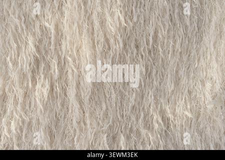 Gros plan de textile à plumes avec des fils métalliques chatoyants dans des tons beige. Banque D'Images
