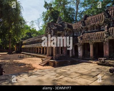 Ancienne galerie du temple Ta Prohm, Angkor, Cambodge Banque D'Images