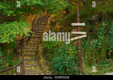 Un panneau en bois altéré avec de multiples flèches directionnelles se dresse à côté d'un escalier rustique menant à travers une forêt dans le feuillage d'automne Banque D'Images