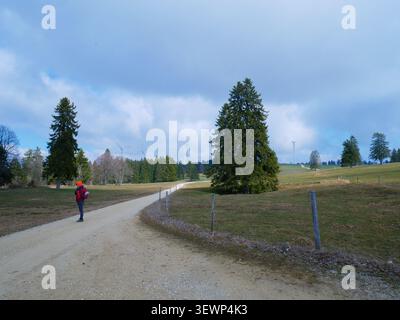 Individu portant une veste rouge marche sur un chemin de gravier à travers des champs verts, flanqué de grands arbres sous un ciel nuageux, avec des collines lointaines et la puissance Li Banque D'Images