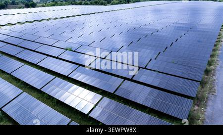 Des rangées de panneaux solaires utilitaires dans un champ rural captent la lumière du soleil pour la production d'énergie renouvelable propre dans la province de Khon kaen thaïlande. Banque D'Images