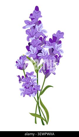 Un bouquet de lavande lilas. Fleurs parfumées dans un style rustique. Clipart vectoriel pour cosmétiques, parfums et textiles en Provence. Illustration plate o Illustration de Vecteur