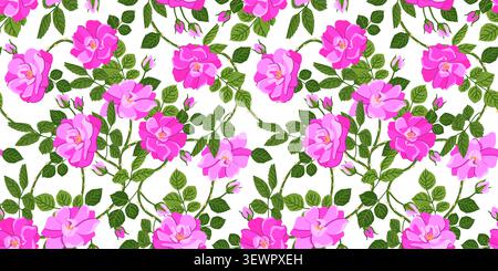 Fond de vecteur avec une branche de roses roses roses. Un motif victorien populaire. Un symbole d'amour et de passion. Motif rose musquée sans coutures. Clipart pour Valentin Illustration de Vecteur