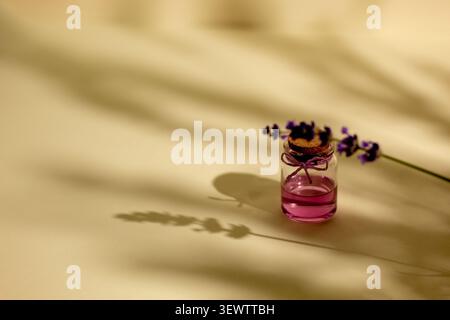Composition de bien-être minimaliste avec des fleurs de lavande et une bouteille en verre rose avec des ombres naturelles douces sur un fond beige chaud, créant un CA Banque D'Images