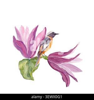 Magnolia violet, oiseau perché sur branche composition florale d'aquarelle. Illustration peinte à la main isolée sur blanc, parfaite pour les conceptions de printemps Banque D'Images