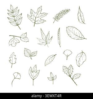 Ensemble fantaisiste de différentes feuilles d'automne Illustration de Vecteur