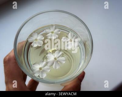 Petites fleurs blanches flottant dans un verre de boisson rafraîchissante à base de plantes tenu à la main. Une vue en grand angle de délicates fleurs de phlox blanc flottant sur le dessus Banque D'Images