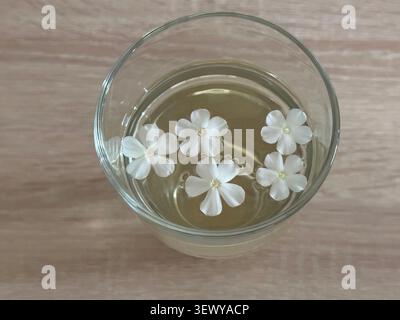 Petites fleurs blanches flottant dans un verre de boisson rafraîchissante à base de plantes tenu à la main. Une vue en grand angle de délicates fleurs de phlox blanc flottant sur le dessus Banque D'Images