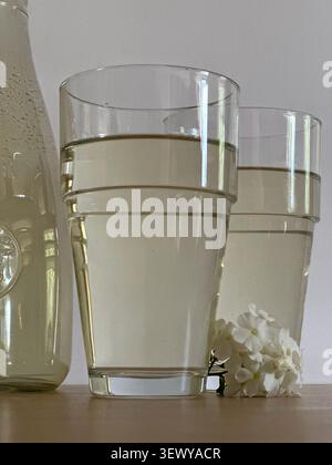 Petites fleurs blanches flottant dans un verre de boisson rafraîchissante à base de plantes tenu à la main. Une vue en grand angle de délicates fleurs de phlox blanc flottant sur le dessus Banque D'Images