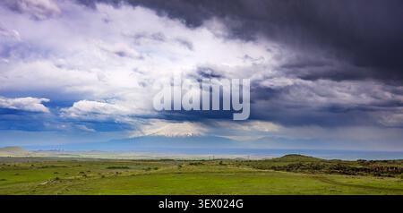 Les nuages d'orage se rassemblent au-dessus d'un vaste champ vert. De lointaines montagnes enneigées s'élèvent à l'horizon Banque D'Images
