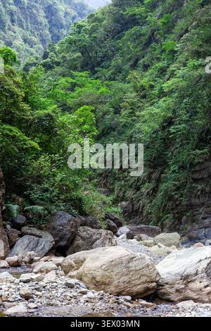 Luxuriante vallée de la rivière Sanzhanxi à Hualien, Taiwan. Une forêt verte dense couvre des pentes de montagne abruptes. De grands rochers et rochers remplissent le lit sec du ruisseau. Banque D'Images