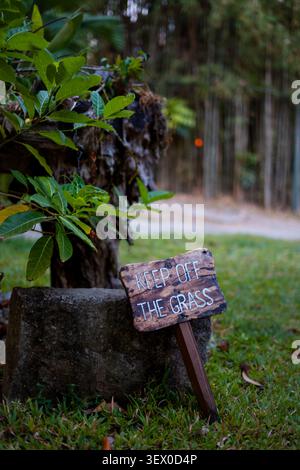 Un panneau en bois rustique affiche clairement le message « Keep Off the Grass » au milieu d'un feuillage vert éclatant et d'un fond de forêt de bambous flou. Cette image Banque D'Images