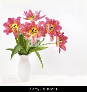 Bouquet de fleurs de tulipe de corail dans un vase blanc sur fond blanc Banque D'Images