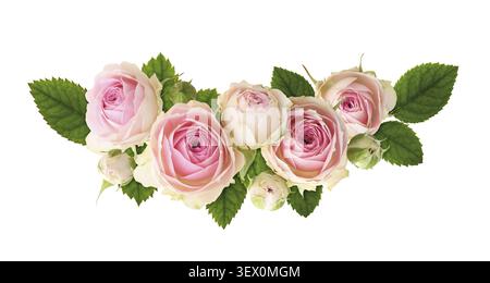 Petites fleurs roses roses et feuilles vertes dans un arrangement floral isolé sur blanc Banque D'Images