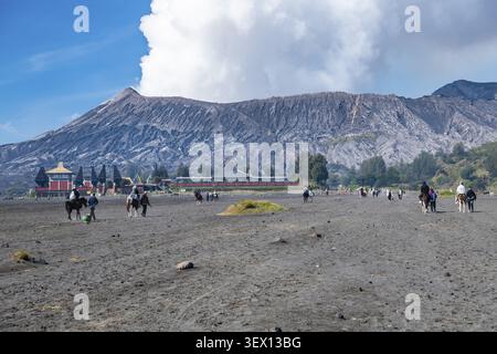 Les chevaux amènent les touristes au volcan, volcans, volcan, bromo, Batok, Semeru, après le lever du soleil, temple Pura Luhur Poten, bromo Tengger Semeru National Banque D'Images