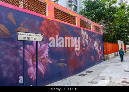 floral mural a été peint par l'artiste EMIC basé à Belfast pour le festival d'art de rue HKwalls 2025.situé sur Lower Lascar Row à Hong Kong Banque D'Images