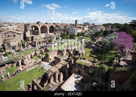 ROME, ITALIE - 26 mars 2026 : vue panoramique à angle élevé du Forum Romanum avec la Basilique de Maxence, le Colisée et les touristes explorant l'ancienne R Banque D'Images