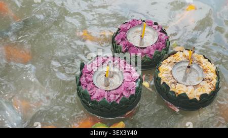 Top Down Shot Three Blooming Floral Krathong flottant sur fond de natation Koi Fish de l'eau de l'étang Banque D'Images