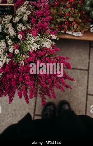 Fleurs colorées de bruyère dans un marché aux fleurs de rue Banque D'Images