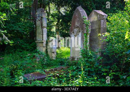 France, Calvados, Caen, cimetière endormi de Saint-Pierre Banque D'Images