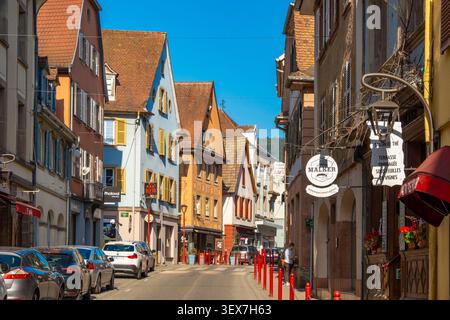 France, Haut Rhin, route des fromages de la vallée du Munster, Munster, Grand'Rue Banque D'Images