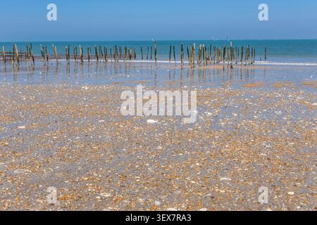 France, Charente-maritime (17), île d'Oléron, plage de la Gautrelle Banque D'Images