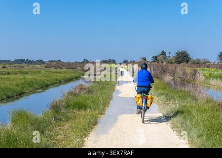 France, Charente-maritime (17), île d'Oléron, Banque D'Images