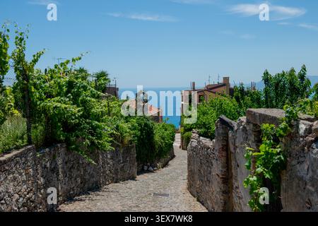 Verezzi, une charmante rue pavée qui descend dans un village historique, encadrée par des murs en pierre sèche Banque D'Images
