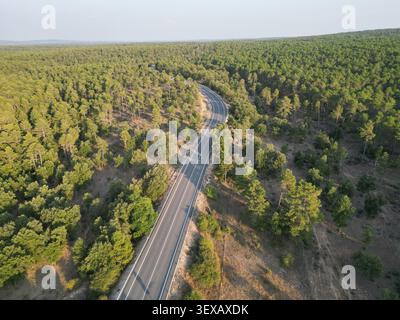 Vue aérienne d'une route sinueuse coupant à travers une dense forêt de pins verts par une journée ensoleillée. Parfait pour les concepts de voyage, de transport et de nature. Banque D'Images