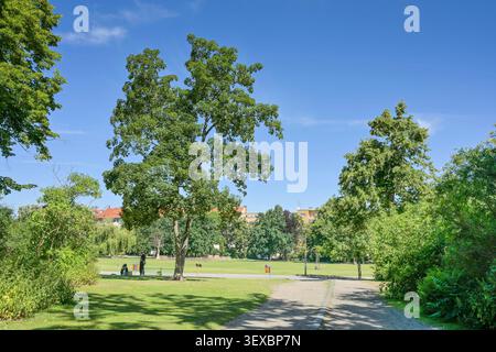 Preußenpark, Wilmersdorf, Berlin, Allemagne Banque D'Images