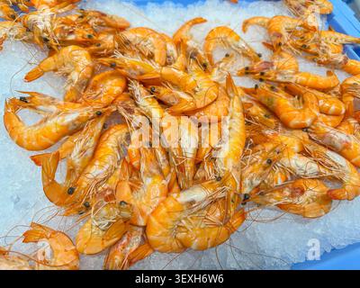 Crevettes de fruits de mer cuites sur le comptoir du magasin sur la glace. Banque D'Images