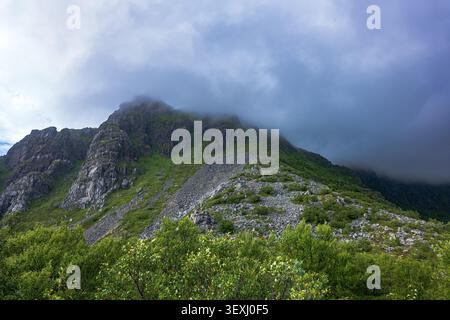 Paysage montagneux spectaculaire dans les Lofoten avec un pic entouré de brouillard, des pentes vertes et des éboulis rocheux. Une végétation luxuriante encadre le majestueux alpin Banque D'Images
